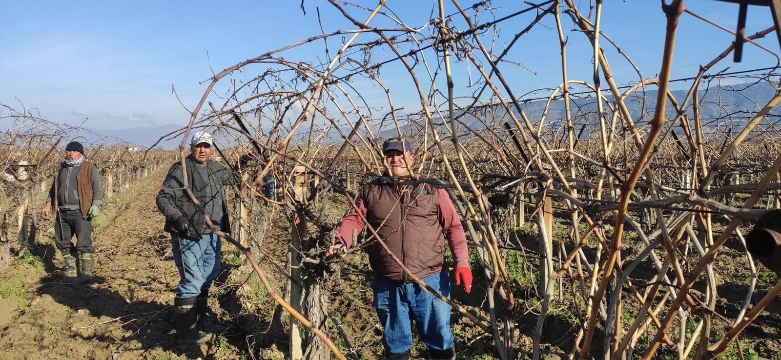 Denizli Haber Bağ (1)-1