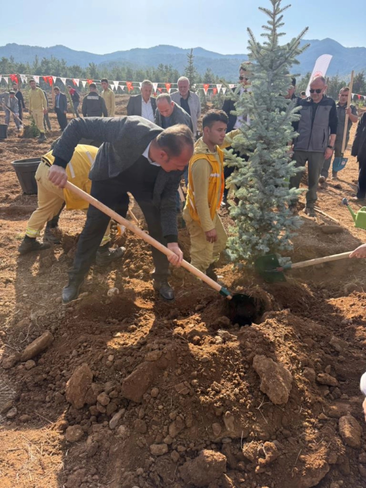 Denizli Haber Beyeağaçç