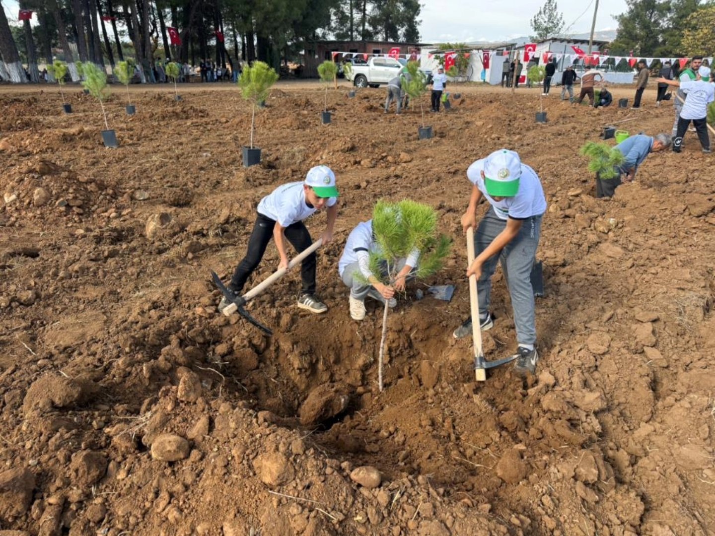 Denizli Haber Beyeağaçççç
