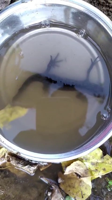 Denizli Haber Buldansemender