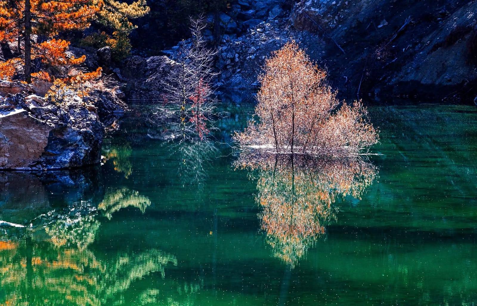 Denizli Haber Cameli1-1