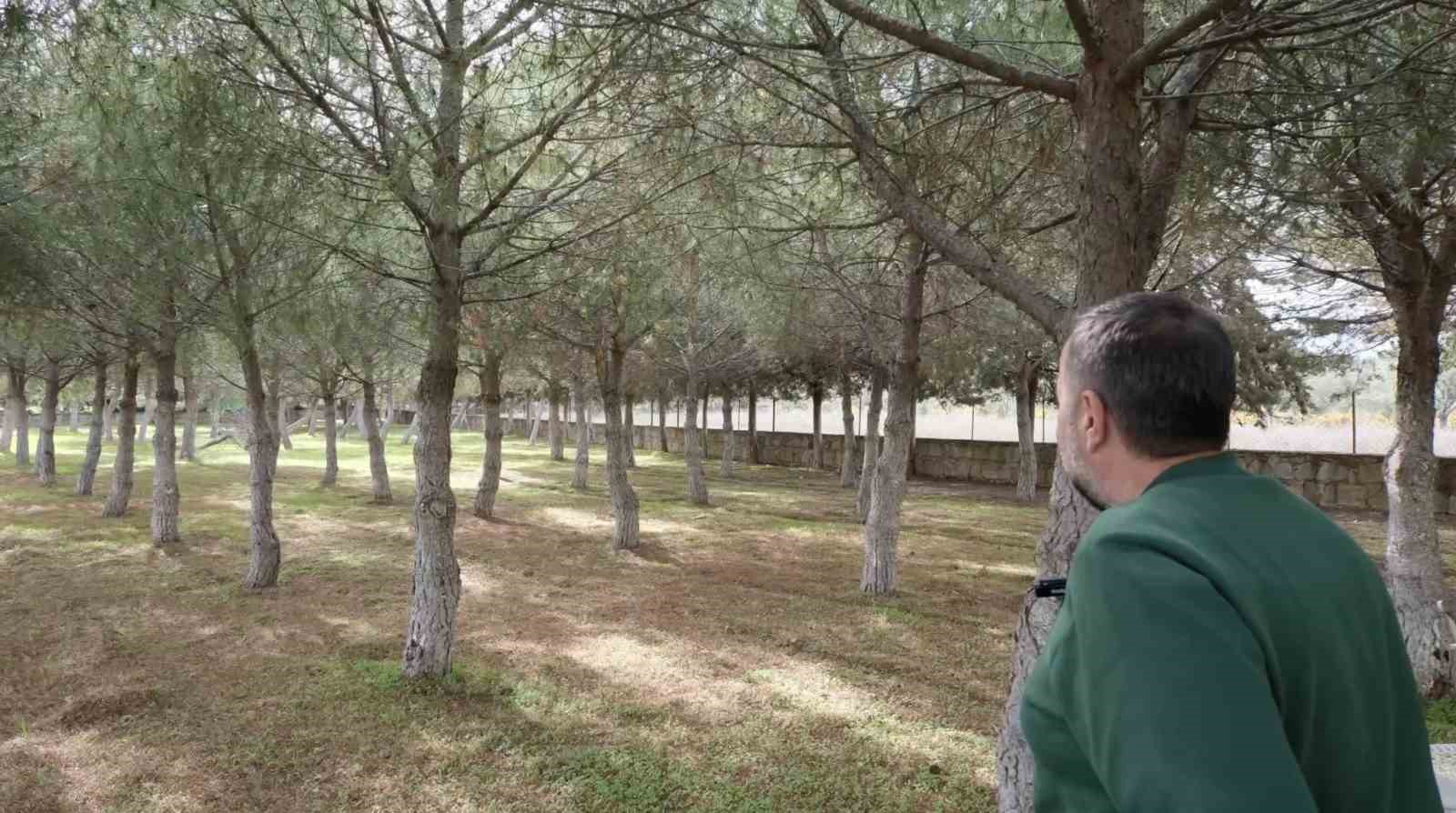 Denizli Haber Demirer2