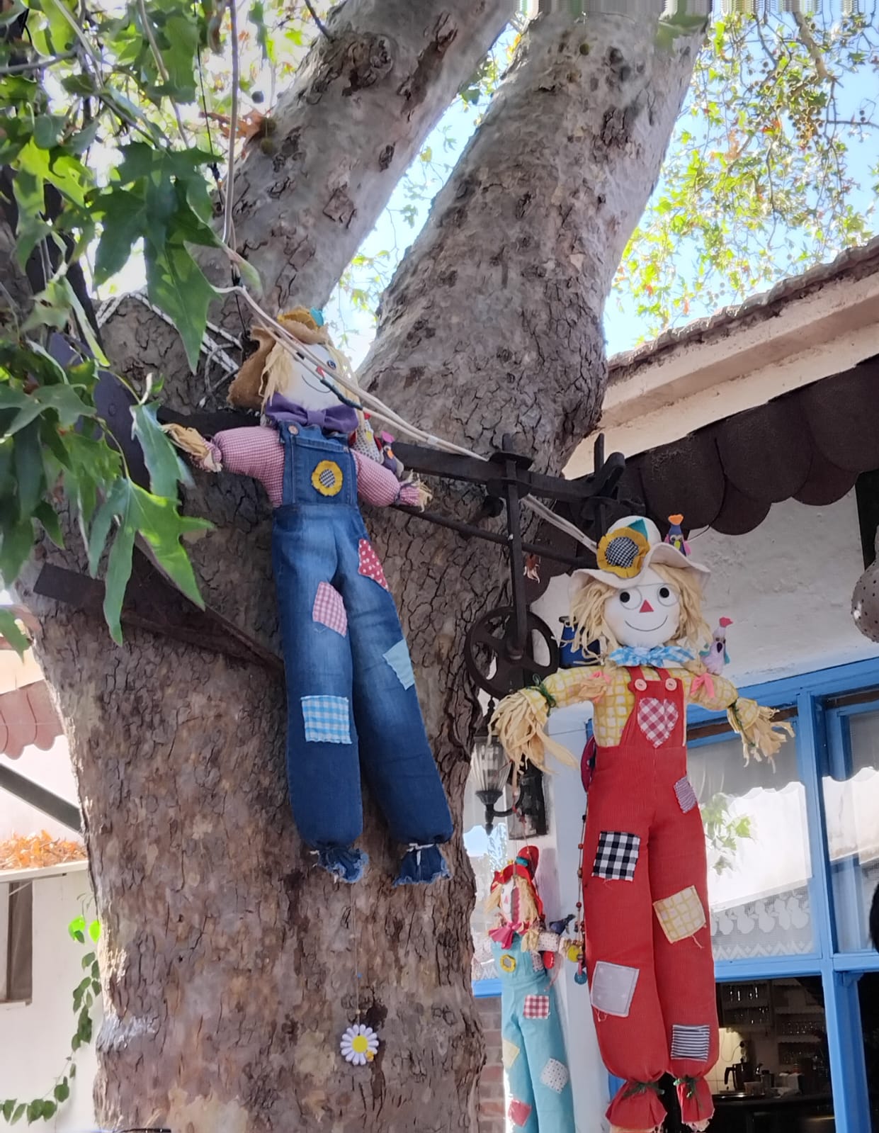 Deni̇zli̇ Haber En İyi̇ Köy (6)