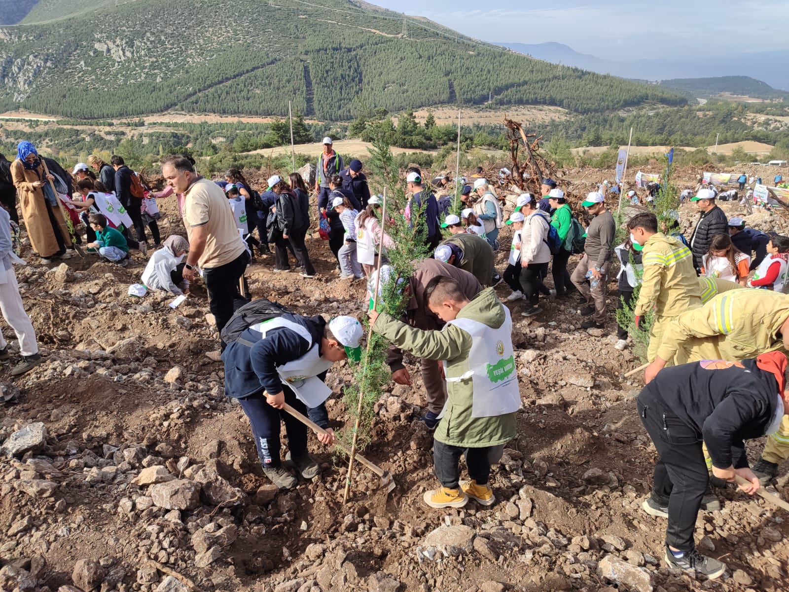 Denizli Haber Fidan (1)-1