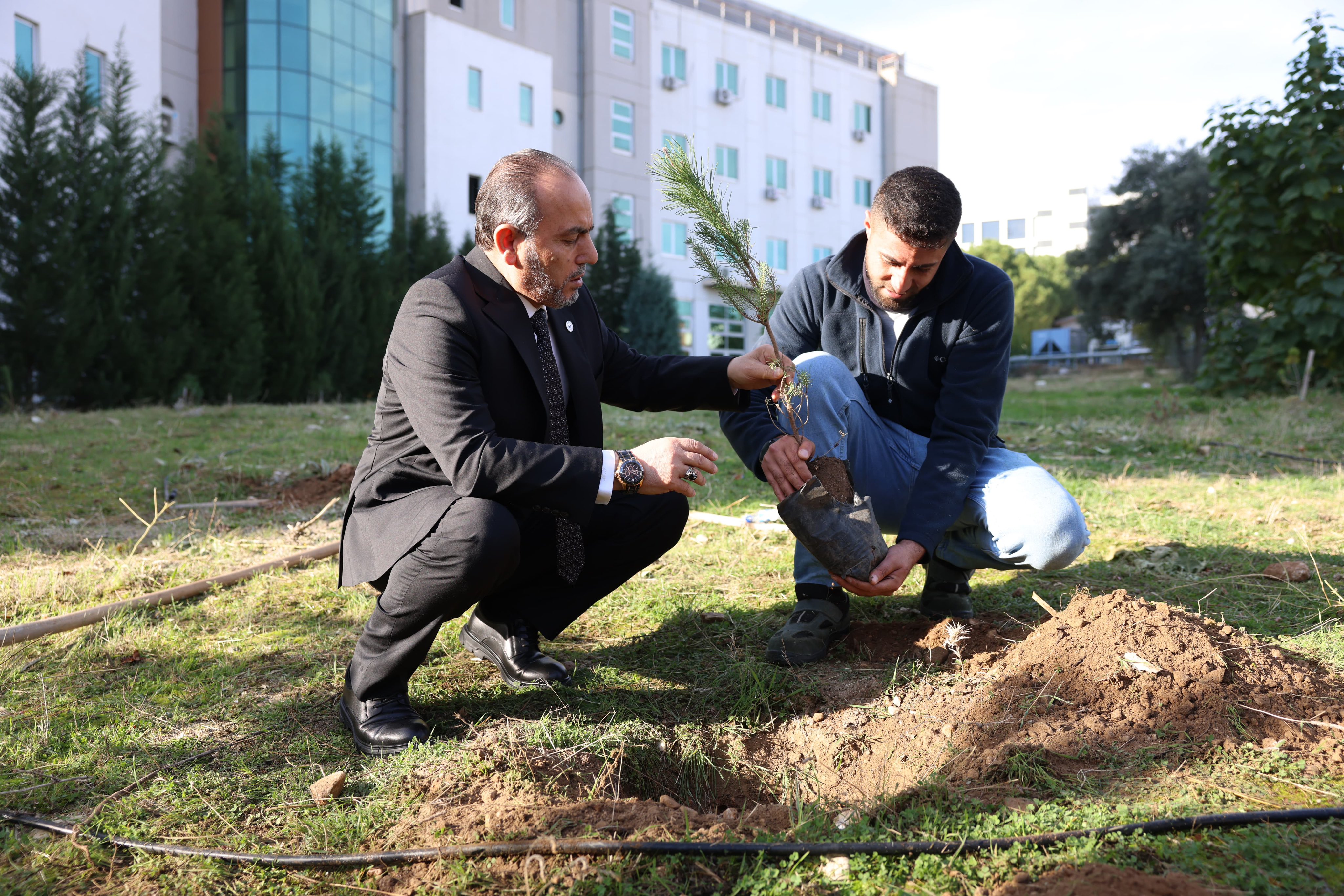 Denizli Haber Fidandikimi (3)
