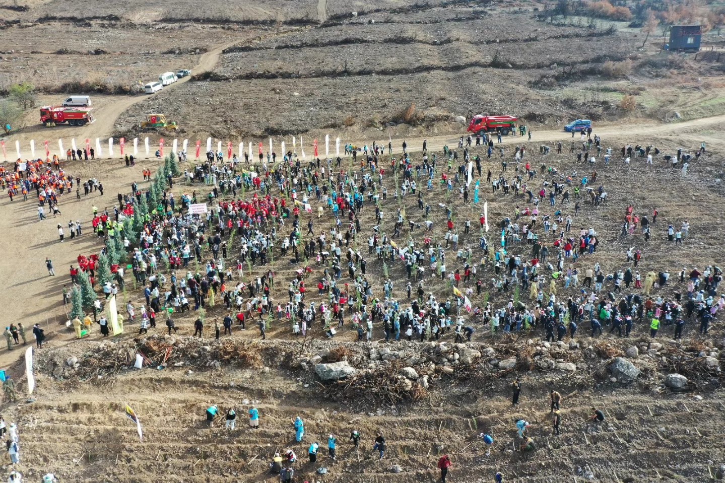 Denizli Haber Fifan7