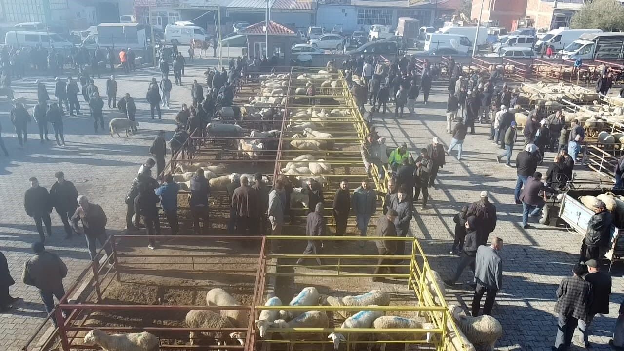 Denizli Haber Hayvan Pazarı (2)