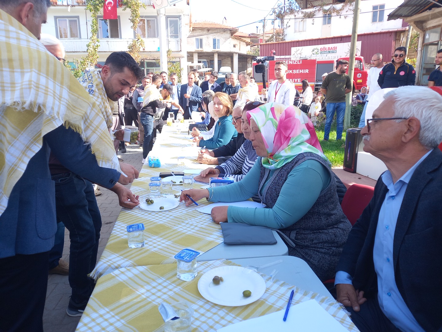 Denizli Haber Kale Zeytin (1)