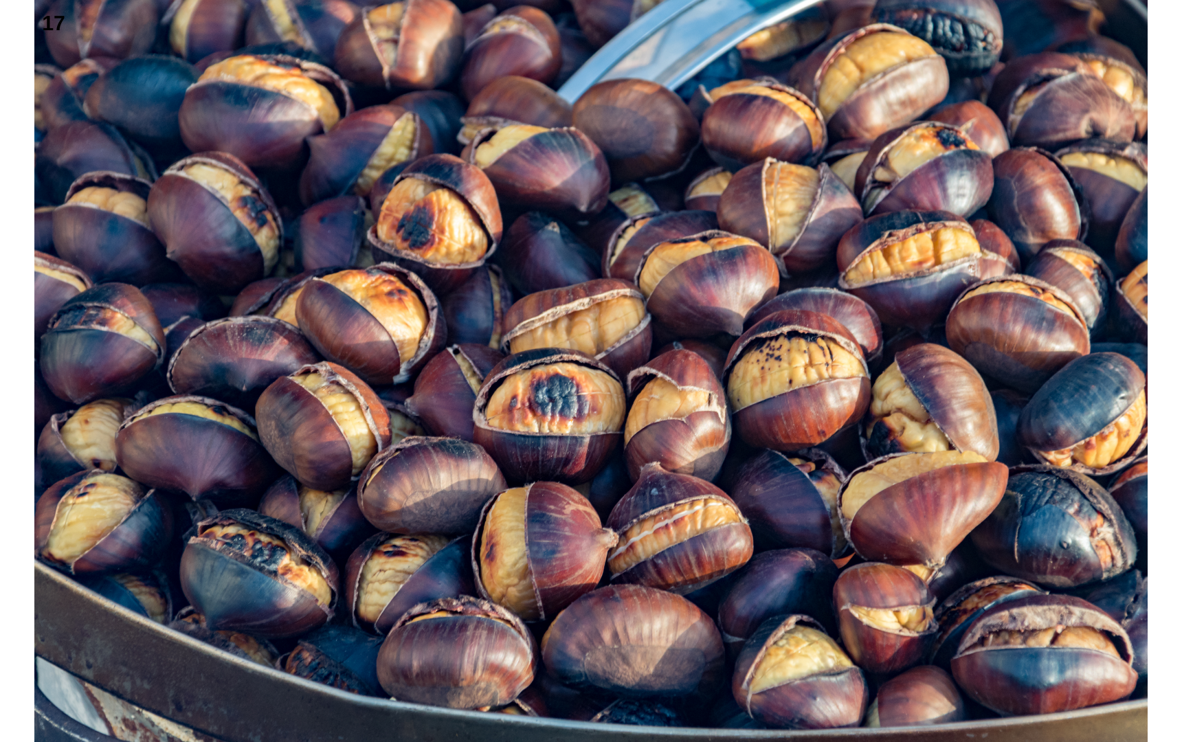 Denizli Haber Kestane-3