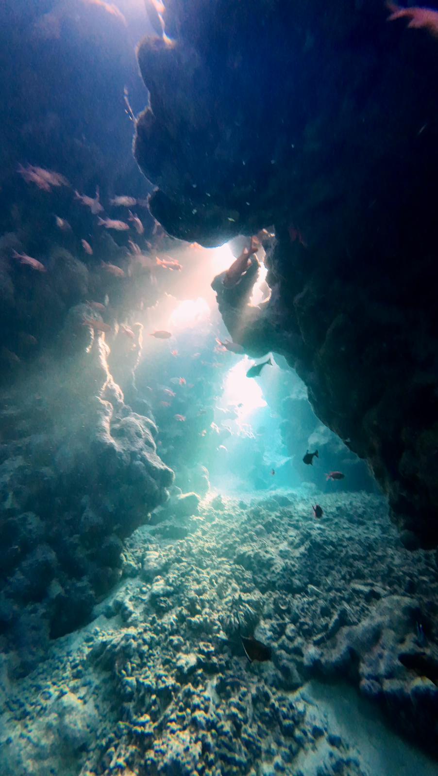 Denizli Haber Kocasert Kızıldeniz (1)