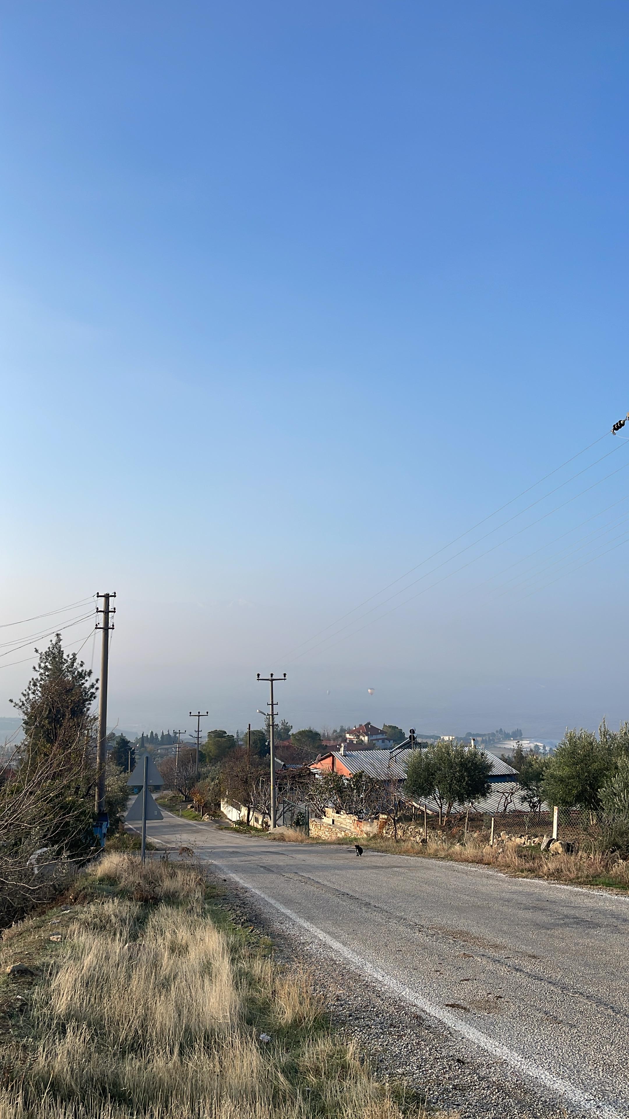 Denizli Haber Kurtluca (1)