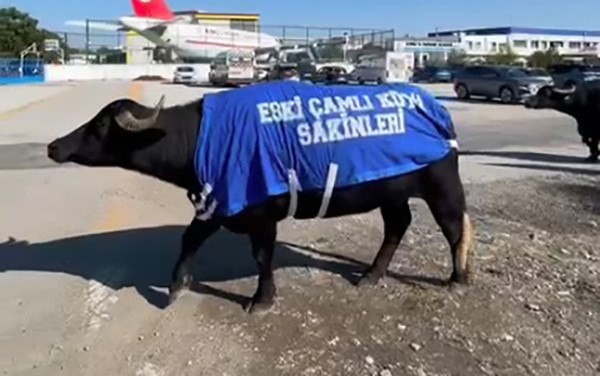 Denizli Haber Okulprotesto (2)