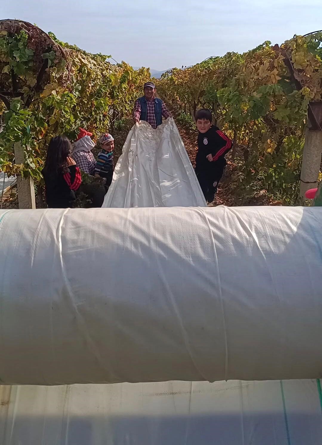 Denizli Haber Örtü (3)