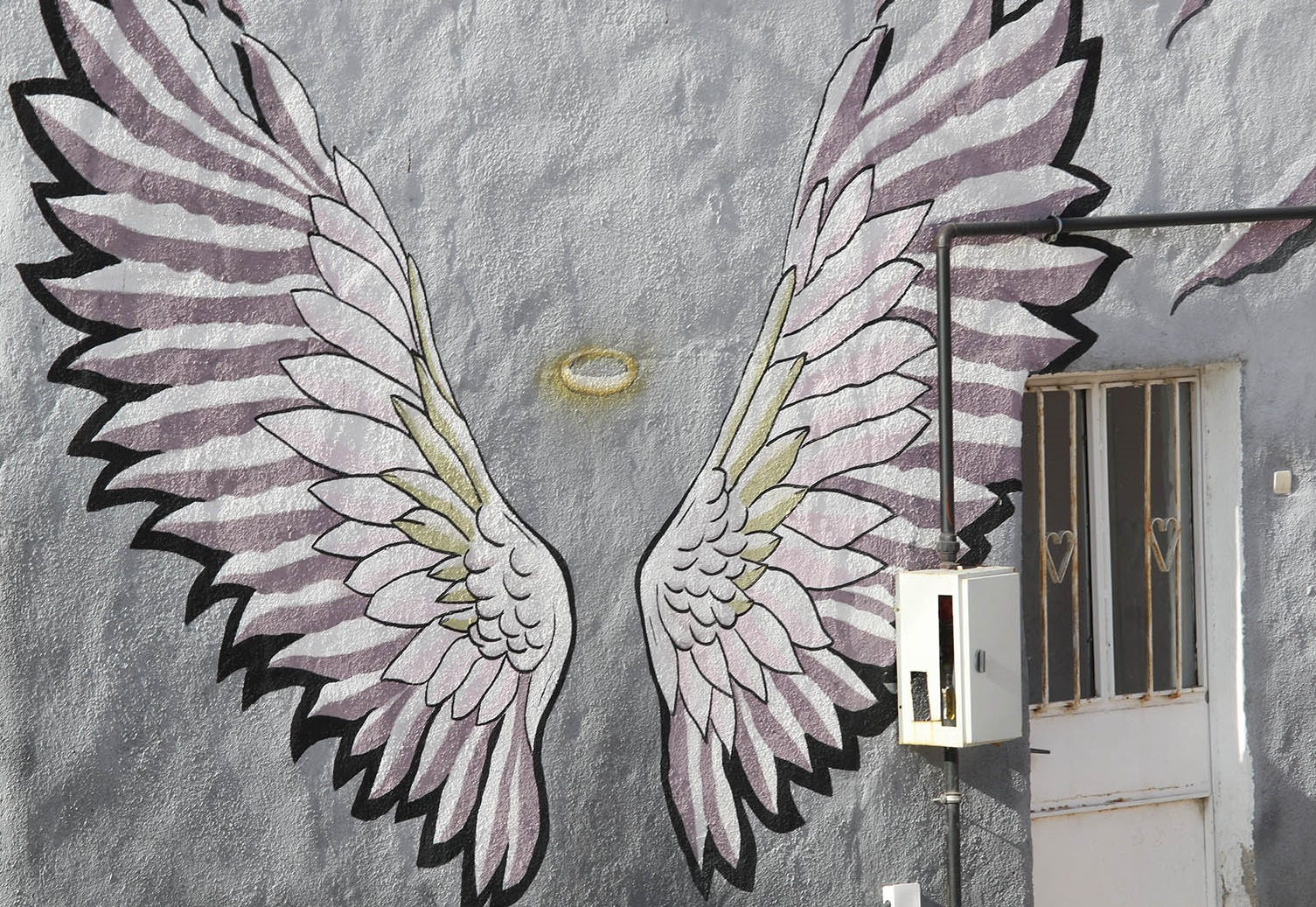 Denizli Haber Renklii