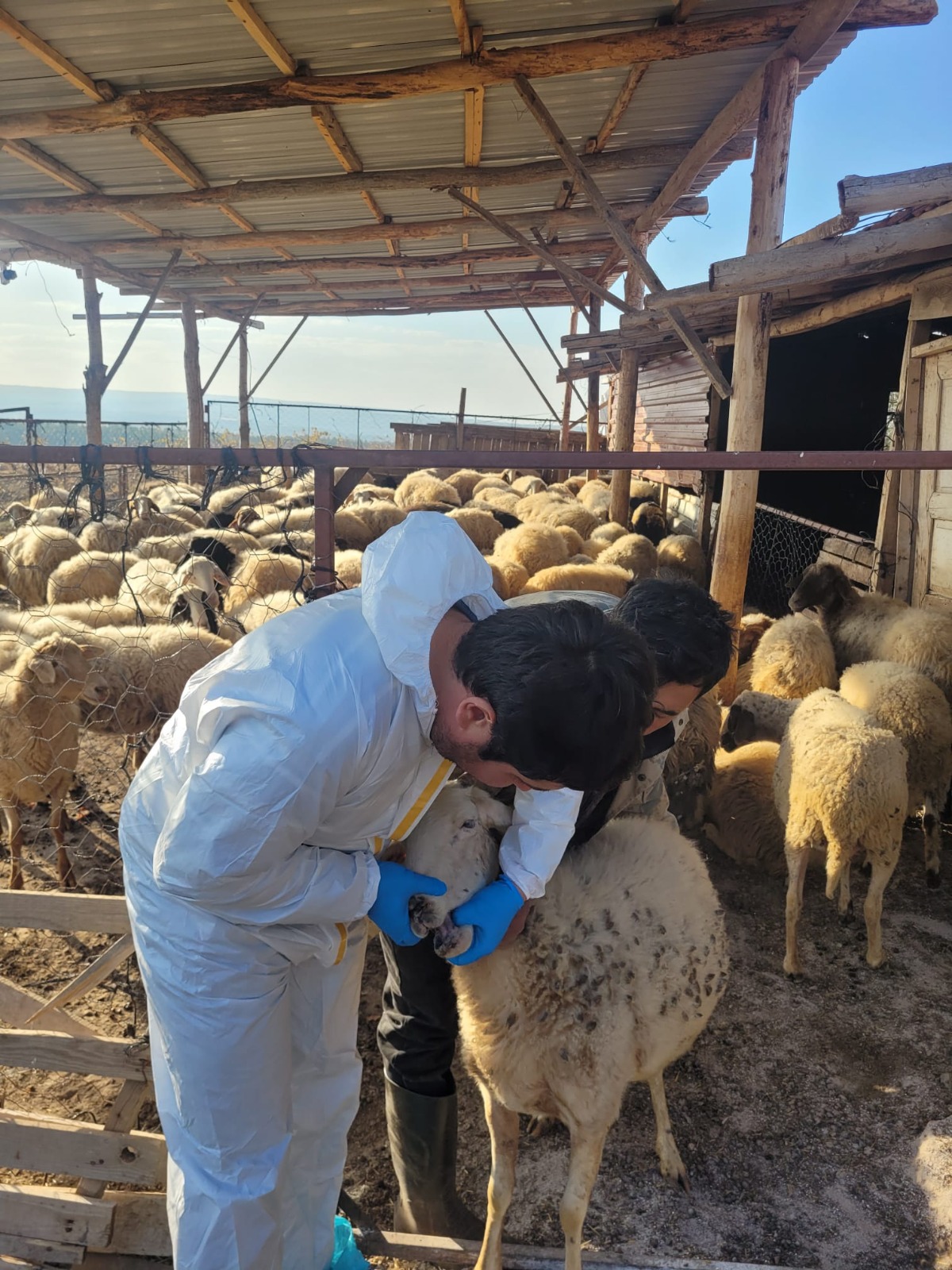 Denizli Haber Şap (1)-1