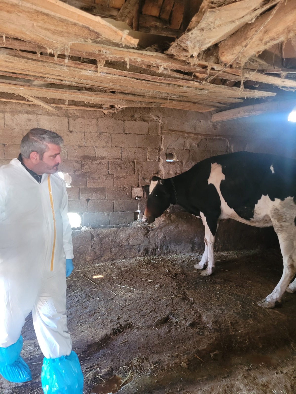 Denizli Haber Şap (3)-1