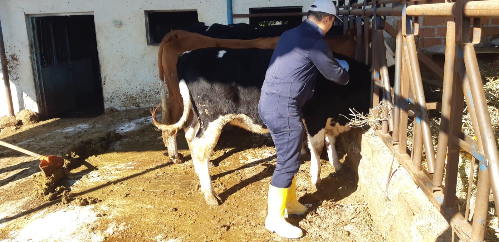 Denizli Haber Şap-6