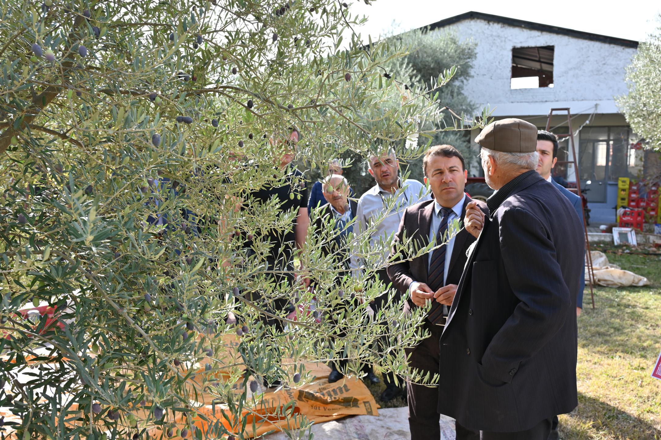 Denizli Haber Tavaszeytin (5)