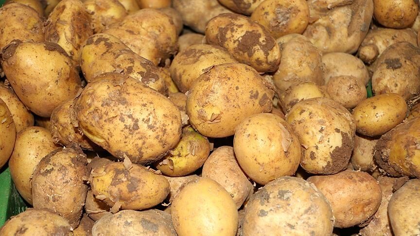 Denizli Haber Ticaret Bakanlığından Patates Fiyatlarına Ilişkin Açıklama
