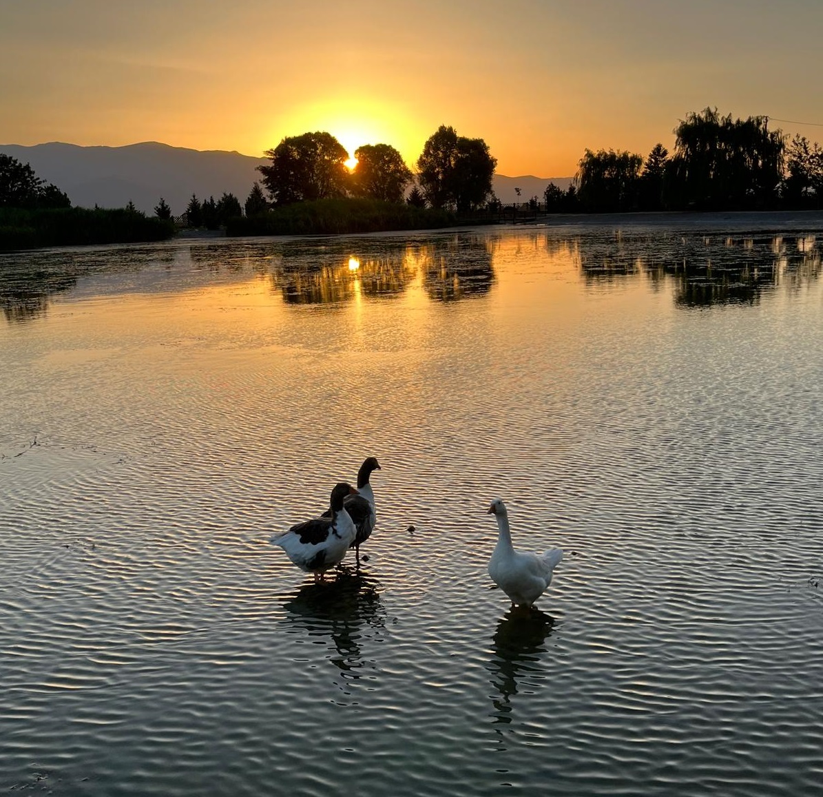 Denizli Haber Ucaarı Gölü (1)