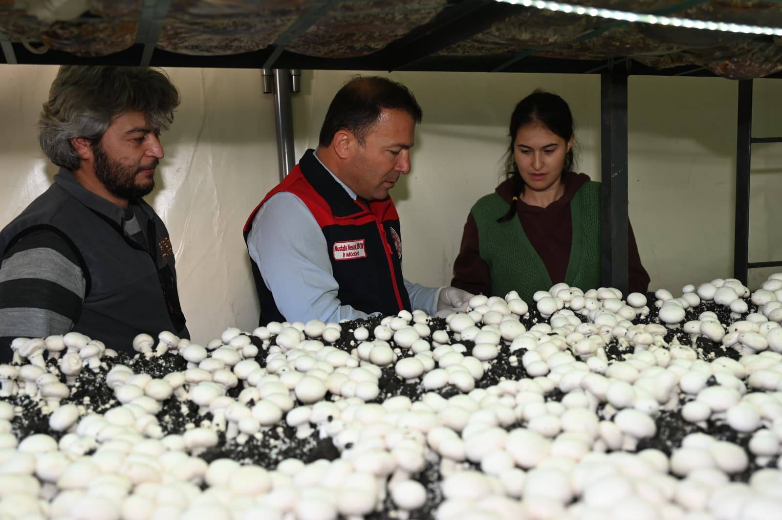 Denizli Haber Uzman Eller