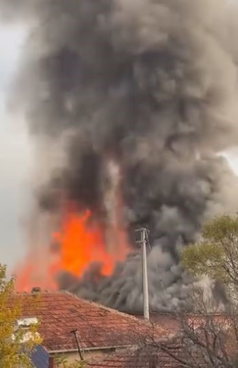 Denizli Haber Yangınçal4