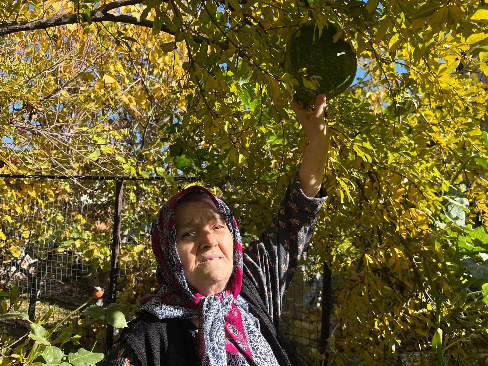 Denizli Haber Yetiştiren