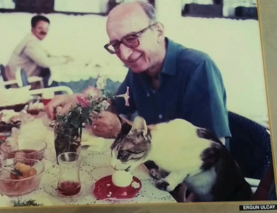 Mustfa Kaya Köşe (2)