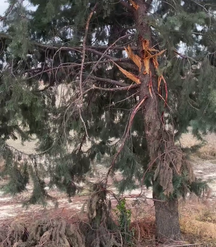 Vlcsnap 2025 11 27 14H43M09S580