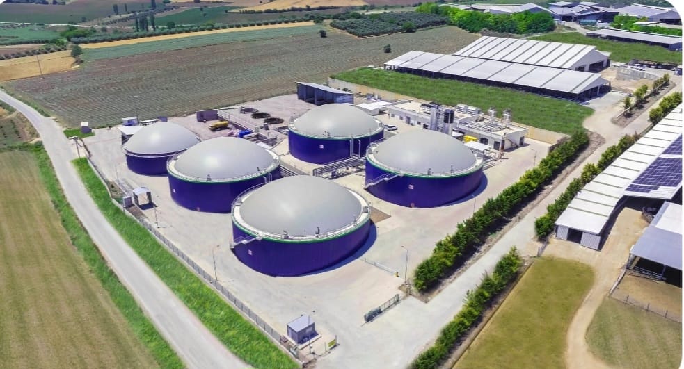 Whatsapp Image 2025 11 06 At 11.00.36