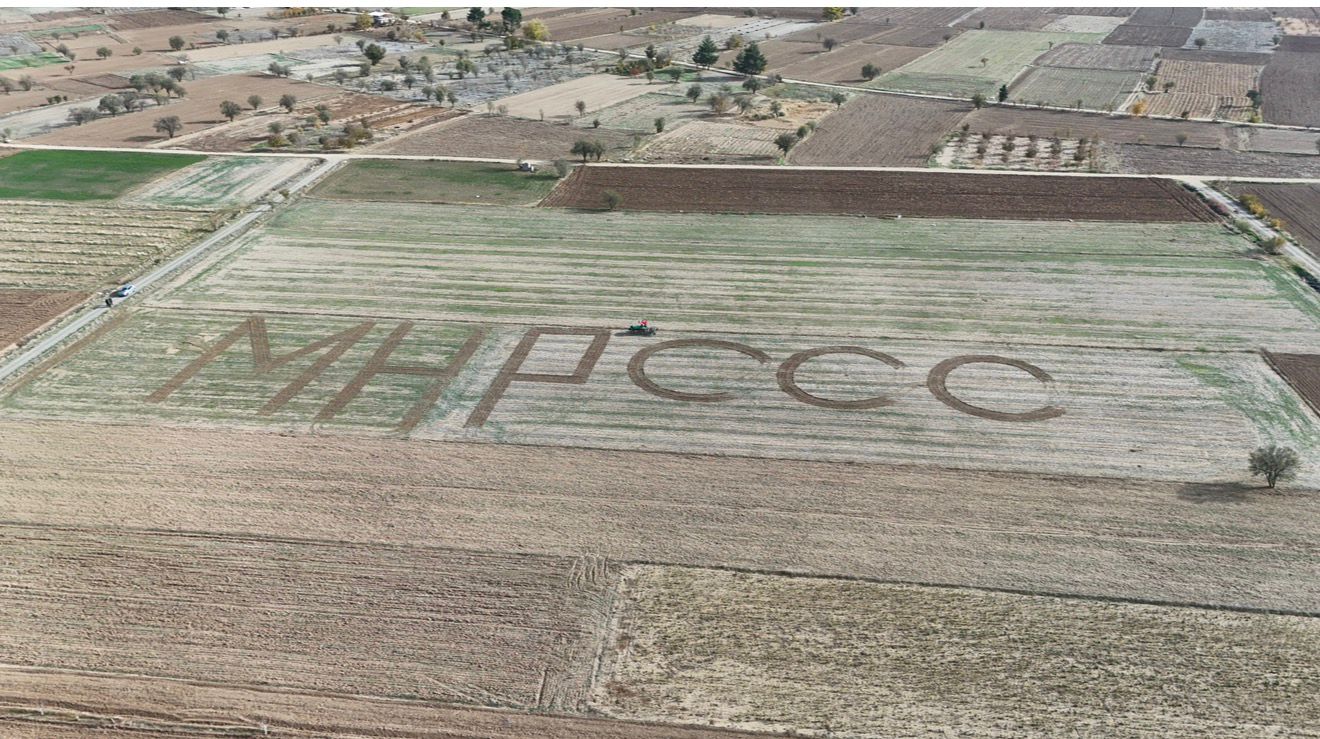 Whatsapp Image 2025 11 23 At 10.59.51