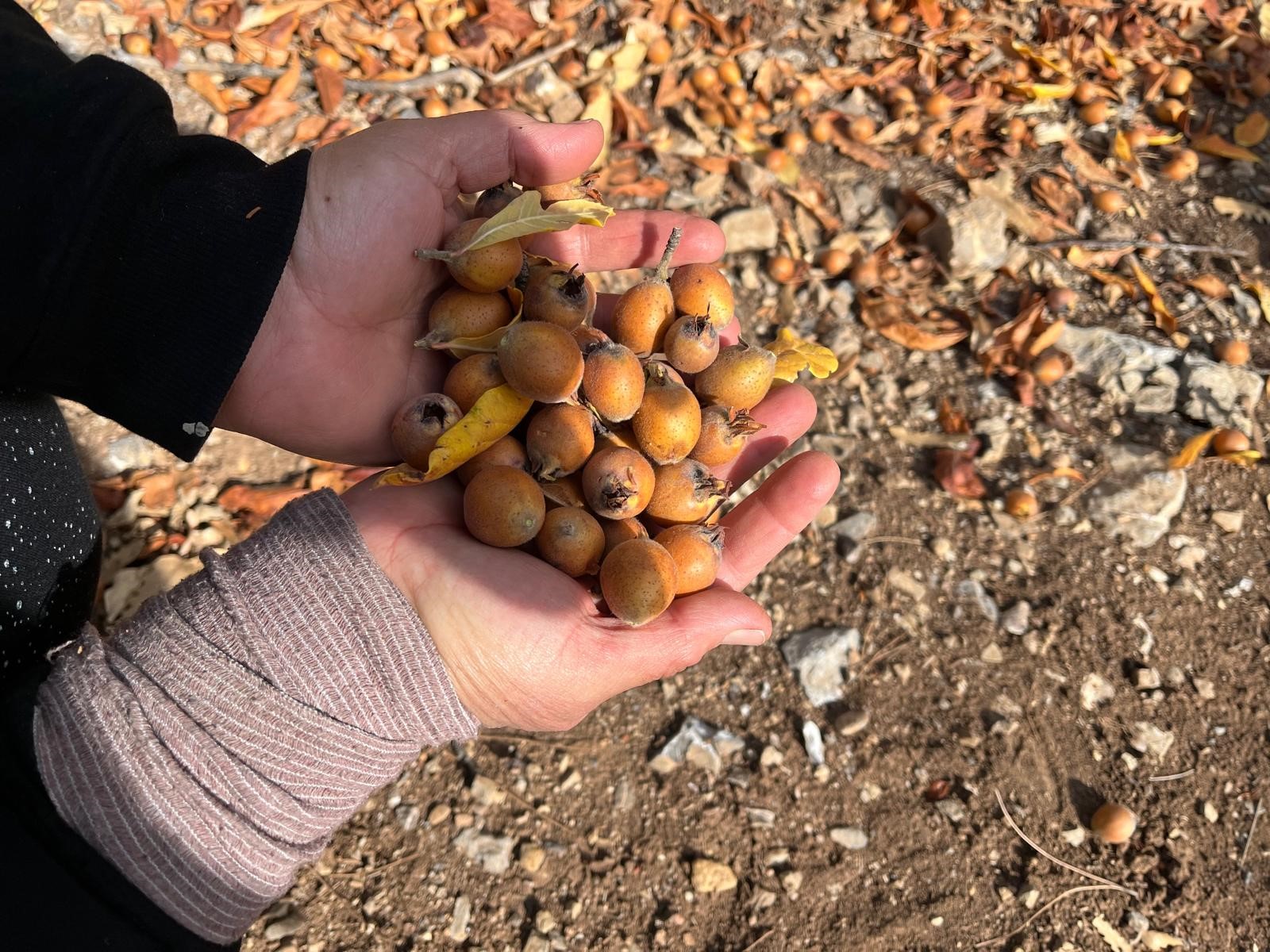 Denizli Ahber Ggelirkapısı (1)