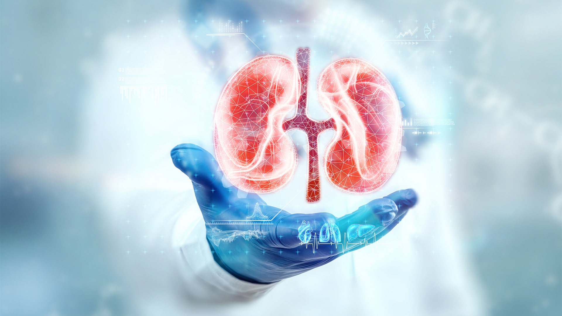 Denizli Haber Böbrek Taşı Gürağaç (2)