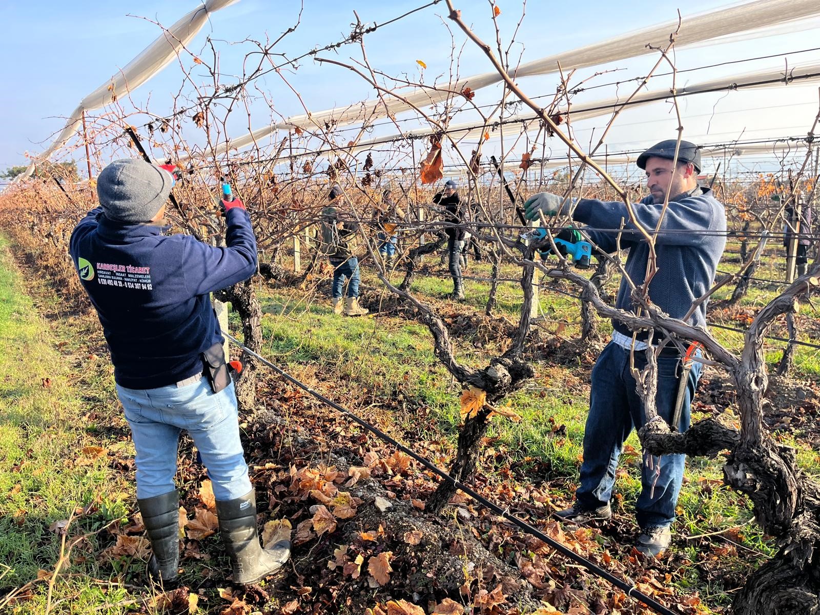 Denizli Haber Buldanüzüm (3)
