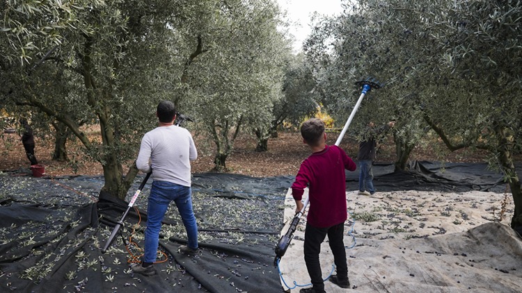 Denizli Haber Burrdur