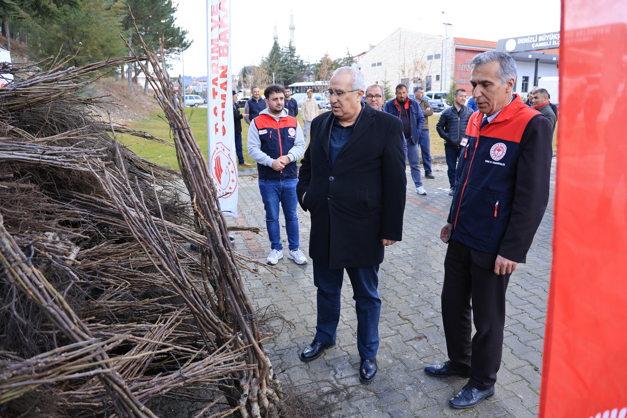 Denizli Haber Cevizz