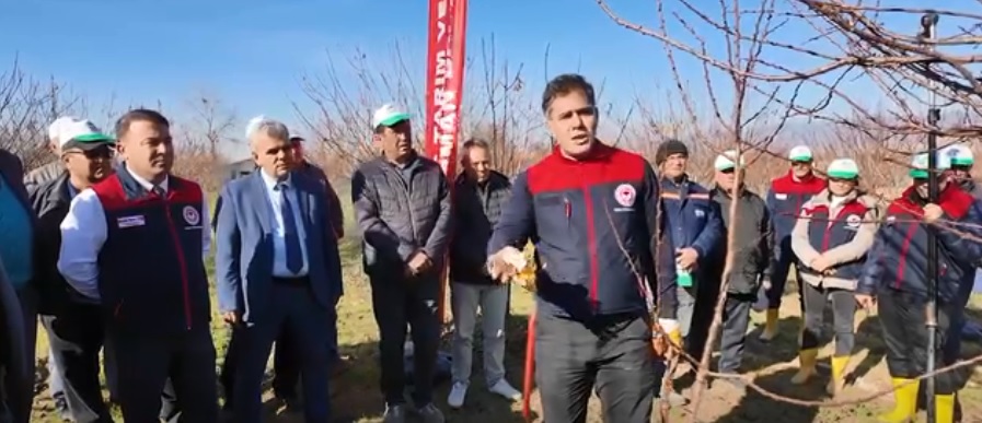 Denizli Haber Doğrubudama