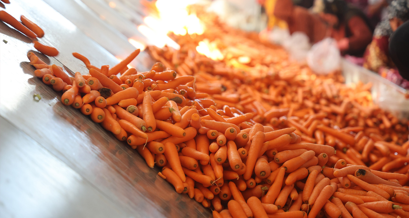 Denizli Haber Havuç