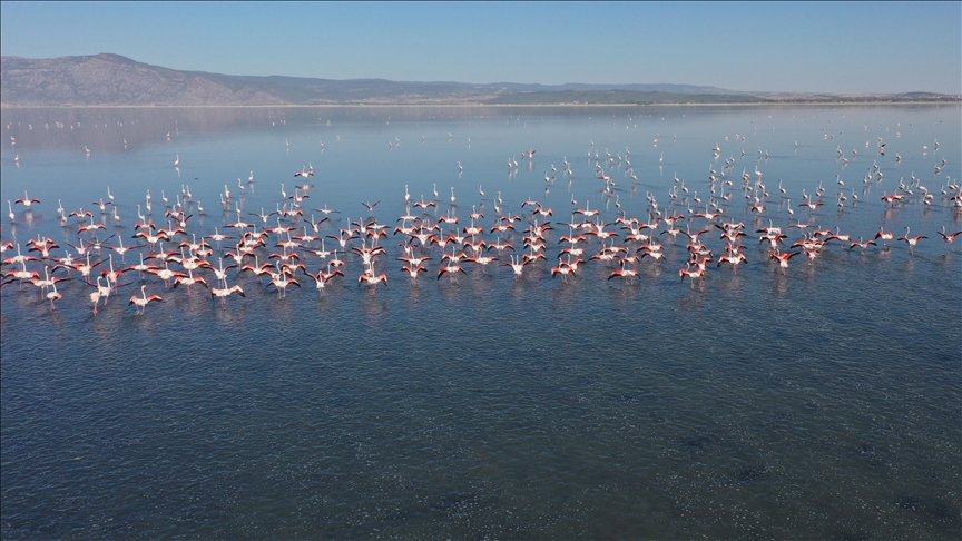 Denizli Haber Işıklı Acı Göl (1)