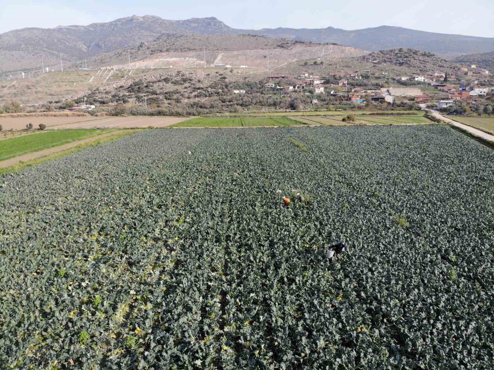 Denizli Haber Izmir Brokalo