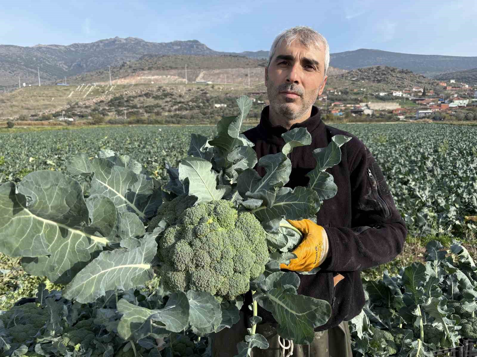 Denizli Haber Izmir Brokoli