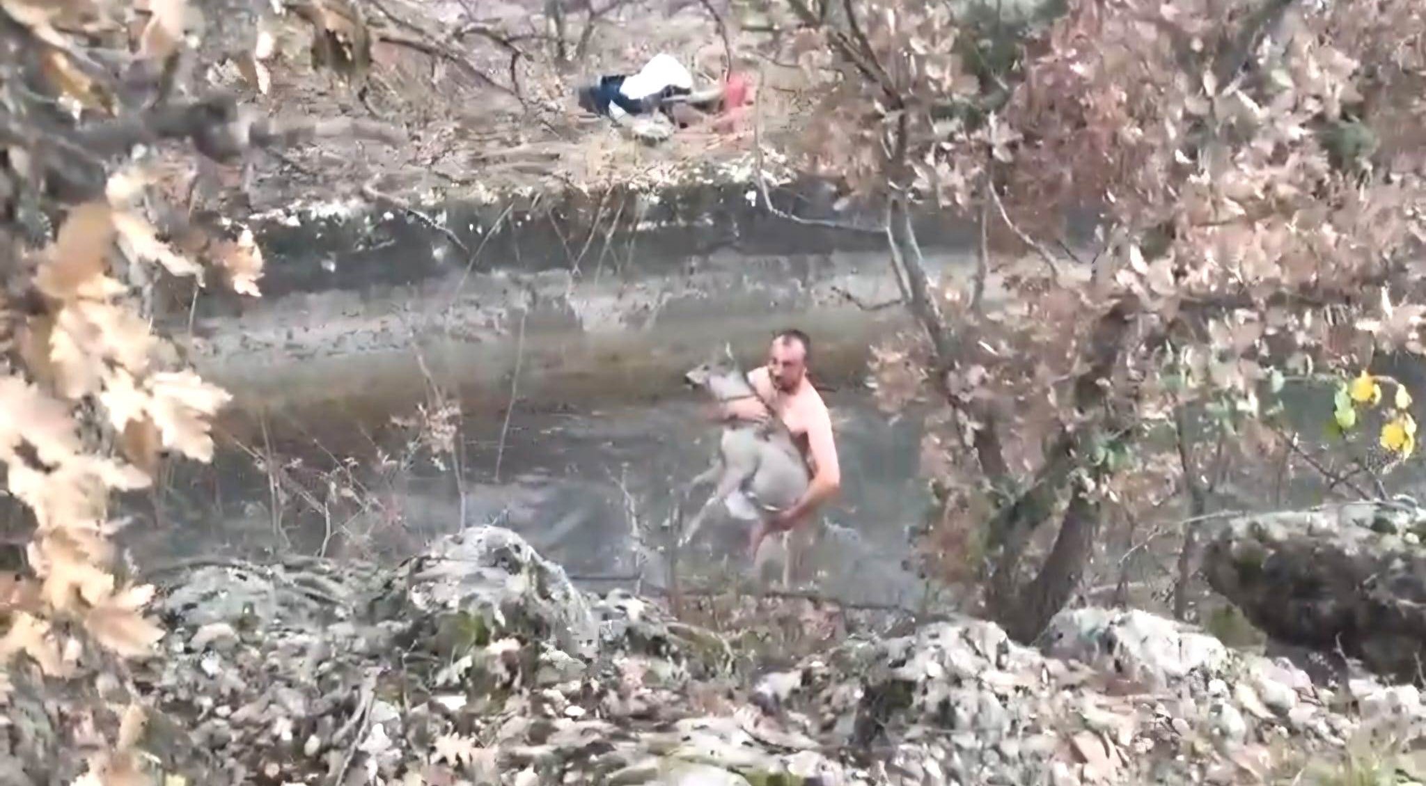 Denizli Haber Karaca Kurtarma