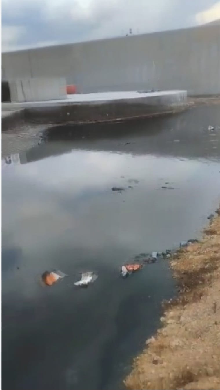 Denizli Haber Kaya Köşegöl