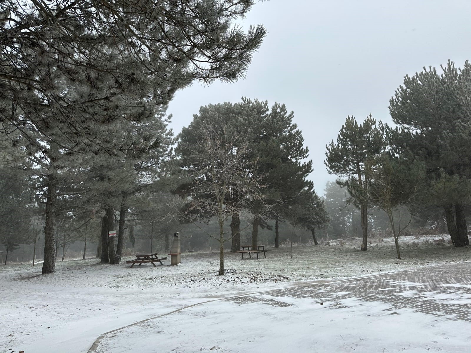 Denizli Haber Manisakar (1)