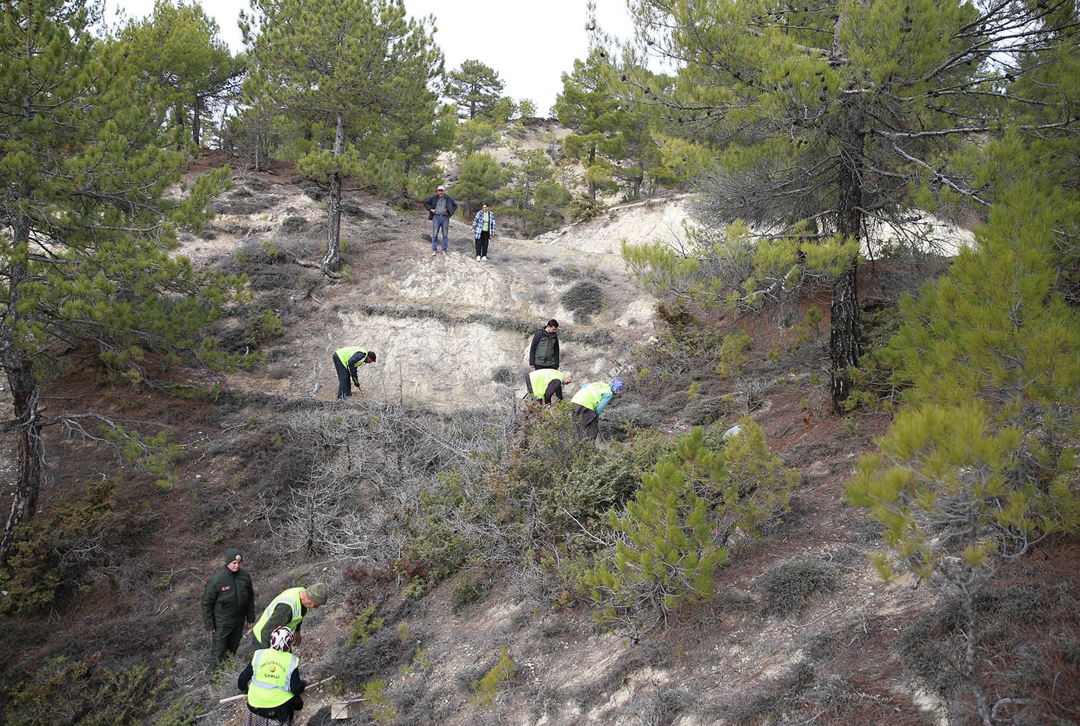 Denizli Haber Mücadele-1