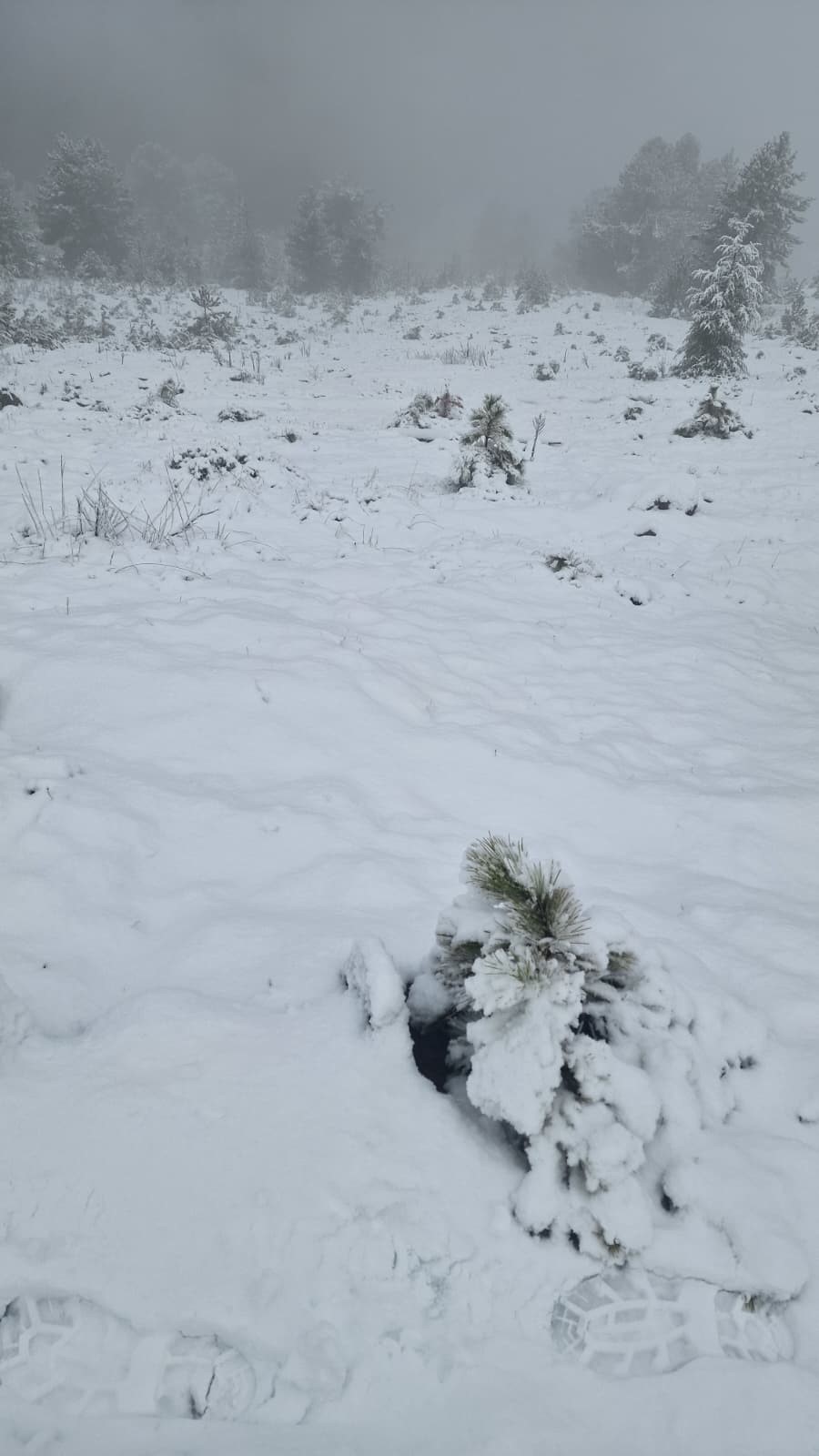 Denizli Haber Muğla Kar (2)