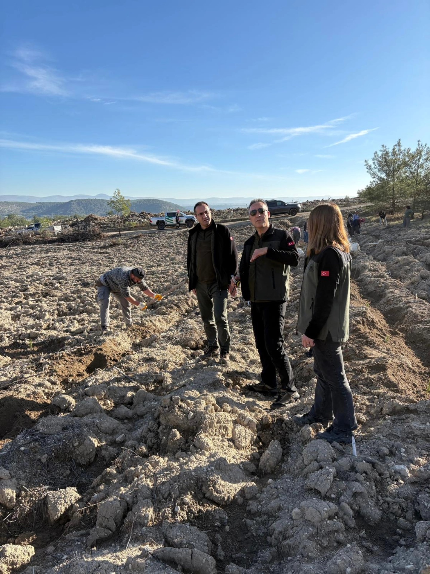 Denizli Haber Orman Bölge-3