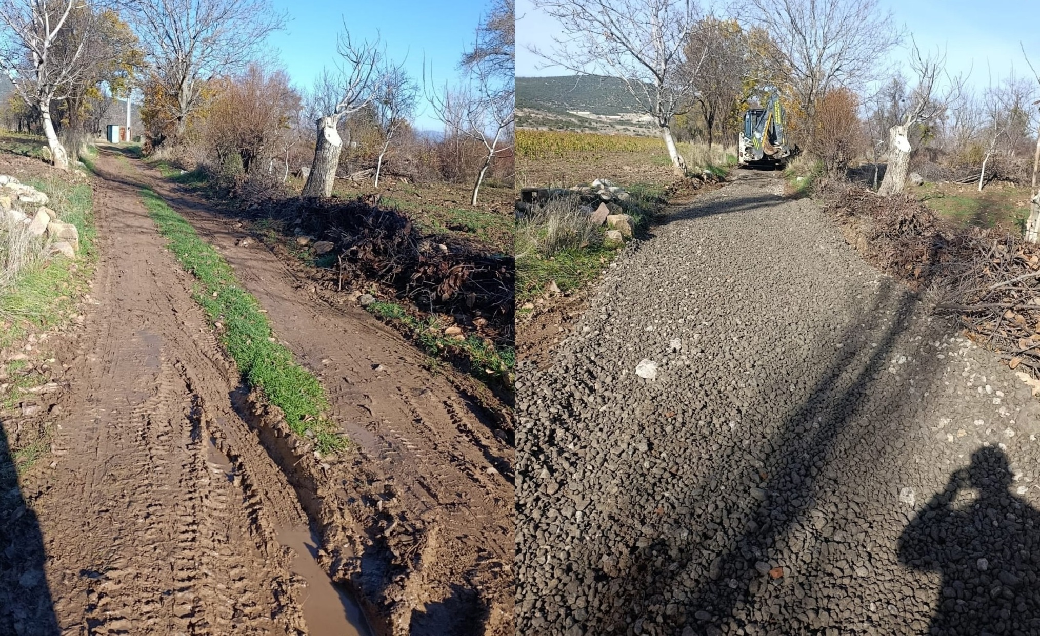 Denizli Haber Tavasçalışma (1)