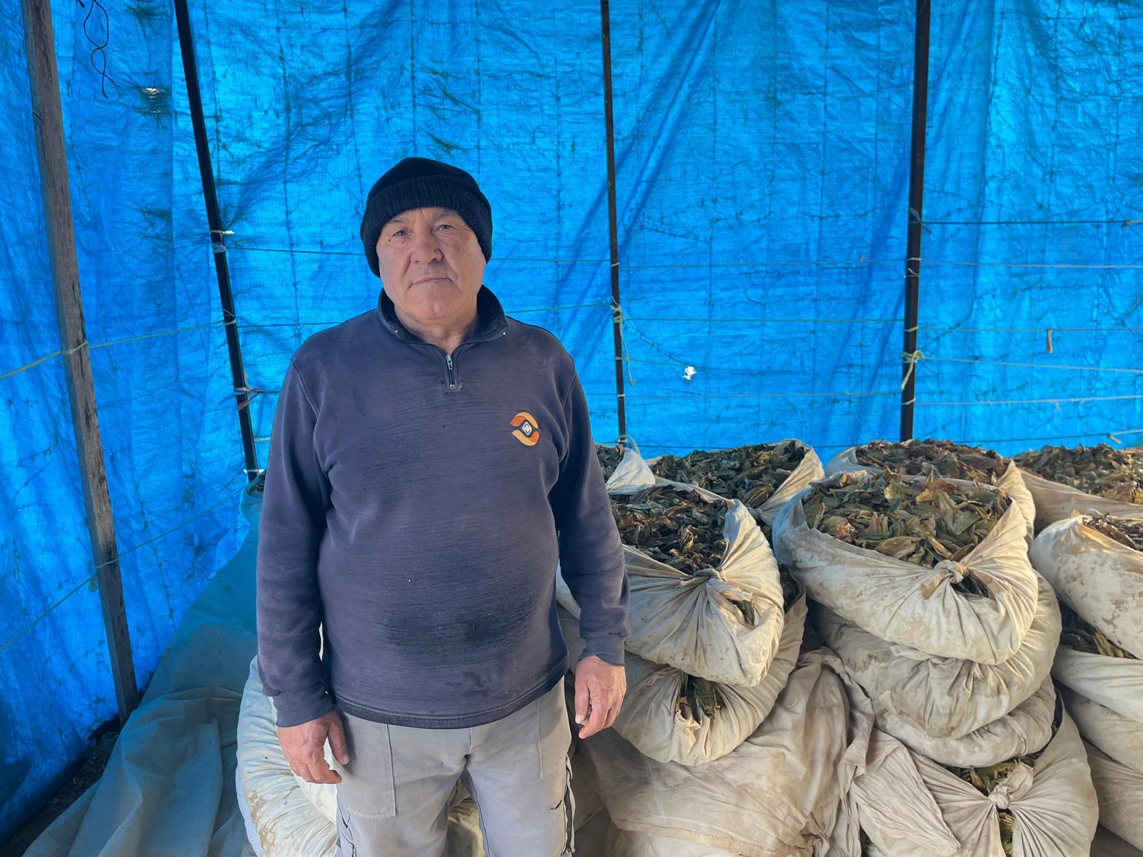 Denizli Haber Tütünbasılıyor