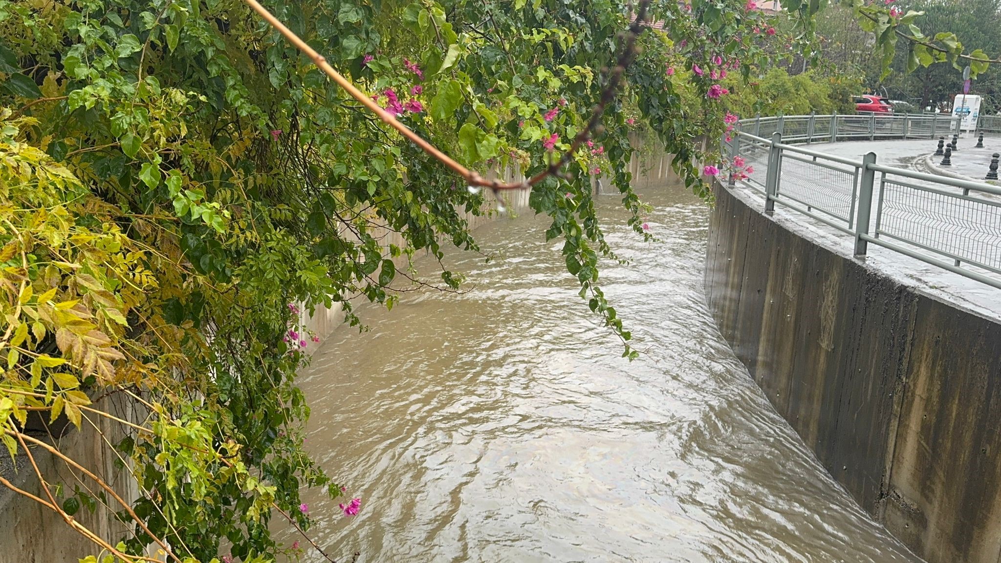 Denizli Haber Yağmur (3)